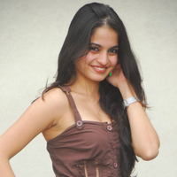 Actress Sheena Shahabadi latest Photos | Picture 46668